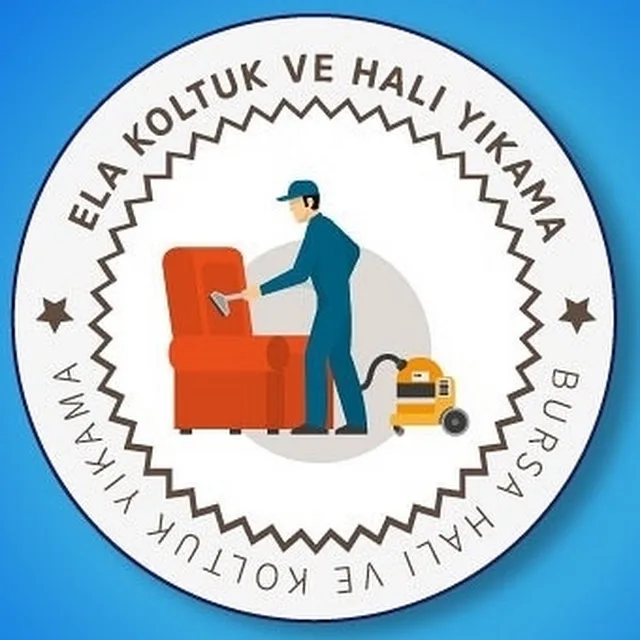 Bursa Koltuk Yıkama work sample 1