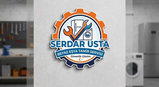 Serdar Usta Beyaz Eşya Teknik Servisi, Built-in Oven Repair