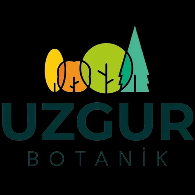Uzgur Botanik · Bursa Peyzaj, Bahçe Bakımı ve Bahçe Düzenleme, Tree Pruning