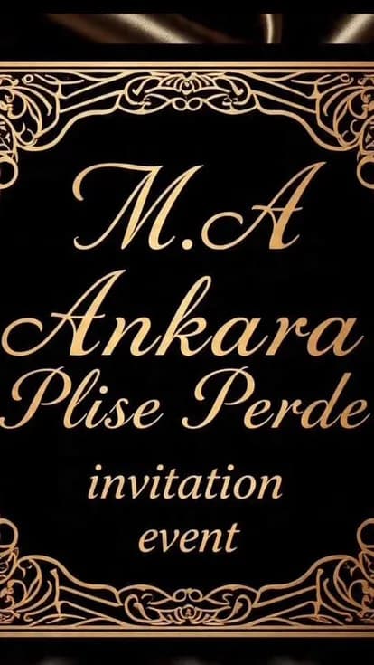 Ankara Plise Perde Satışı ve Montajı, Sineklik Satışı ve Montajı work sample 4
