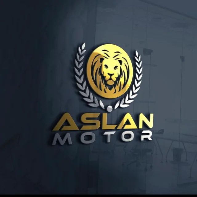 ASLAN MOTOR work sample 1