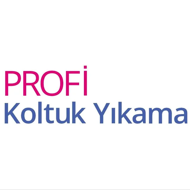Profi Bursa Koltuk ve Yatak Yıkama, Koltuk yıkama