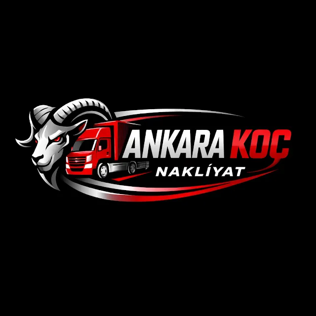 Ankara Koç Evden Eve Asansörlü Nakliyat, Furniture Lift Rental