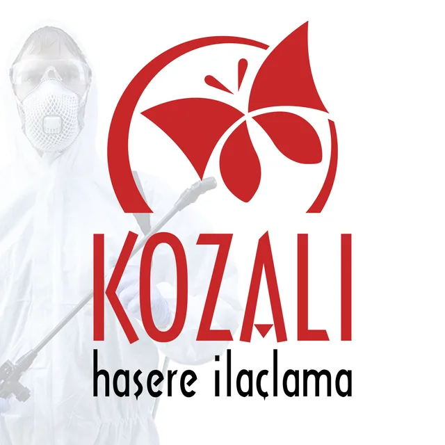 Kozalı Böcek İlaçlama İzmir, Haşere ilaçlama
