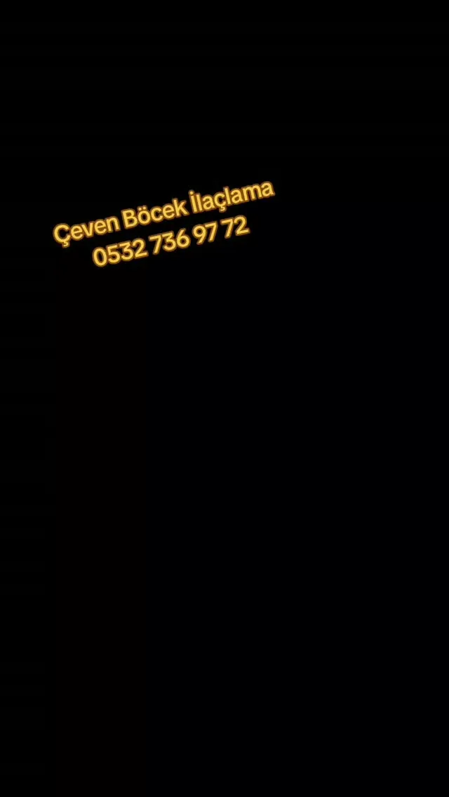Çeven Böcek İlaçlama Beyoğlu Şubesi work sample 3