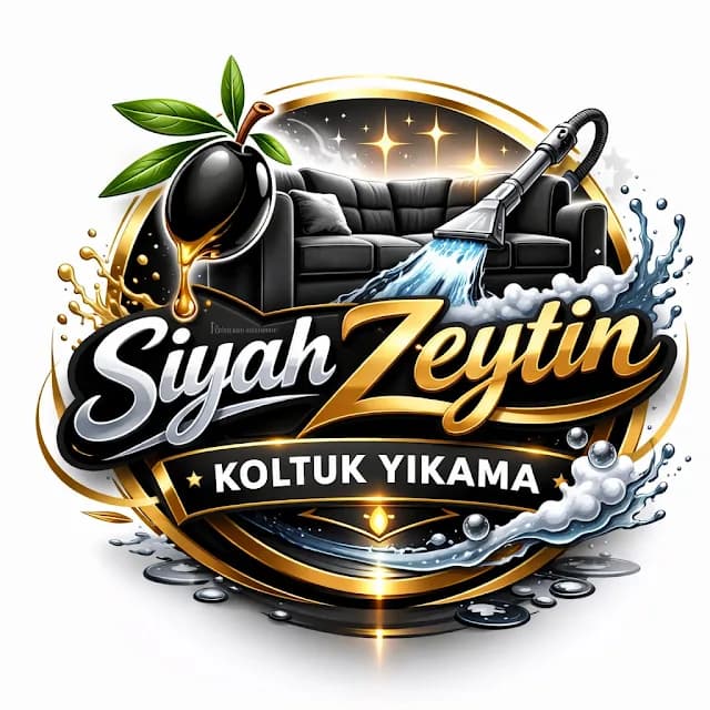 Siyah Zeytin Profesyonel Uzman Koltuk Yatak Araç Koltuk Yıkama Zeytinburnu & Tüm Avrupa Yakası, Shop Cleaning