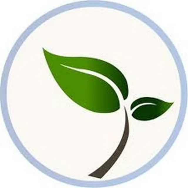 Dry Corner Kuru Temizleme Aqua Florya Şubesi, Temizlik hizmetleri