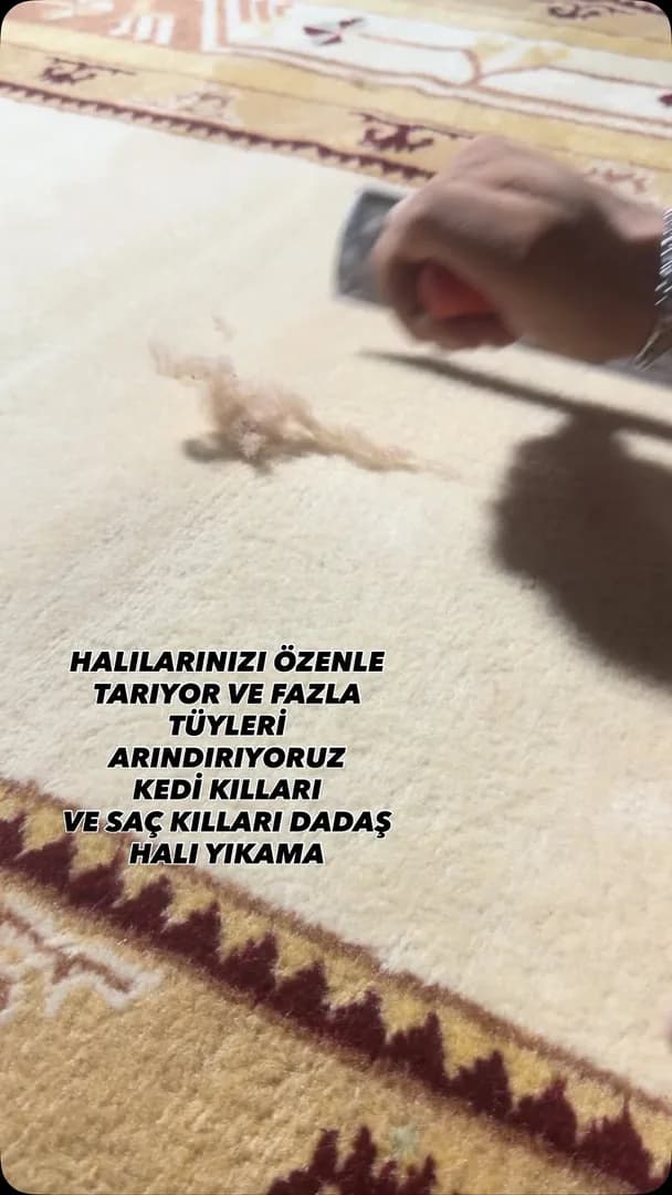 Dadaş Antalya Halı Yıkama work sample 6