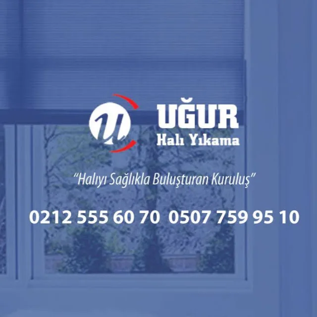 Uğur Halı Yıkama work sample 1