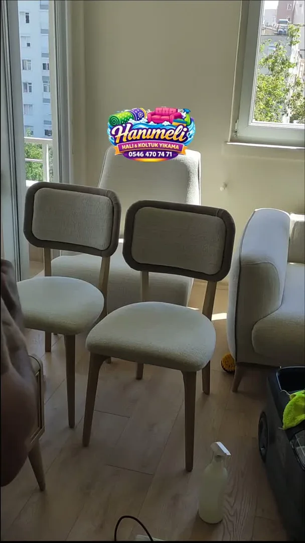 Hanımeli Koltuk Temizleme work sample 4