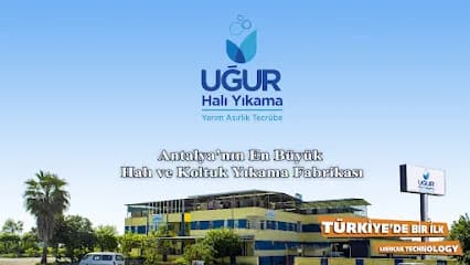 Uğur Halı Yıkama Fabrikası work sample 1