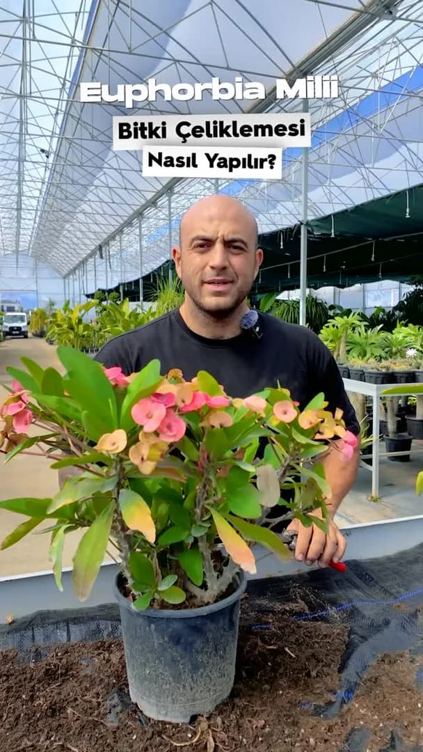 Azur Peyzaj work sample 2