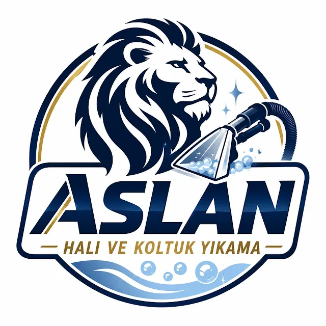 ASLAN HALI VE KOLTUK YIKAMA, Evde Koltuk Yıkama
