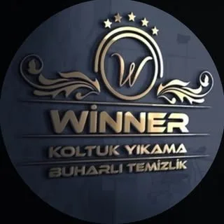 Winner Koltuk Yıkama work sample 1