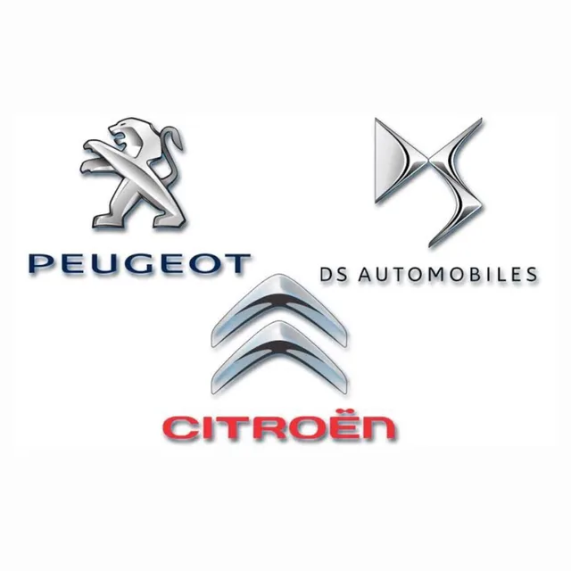 İstanbul Pendik Doğuhan Otomotiv-İstanbul Pendik Peugeot ve Citroen Özel SERVİS, Car Maintenance