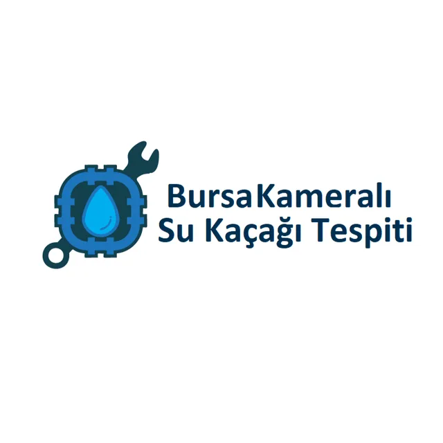 Bursa Kameralı Su Kaçağı Tespiti, Drain Unclogging