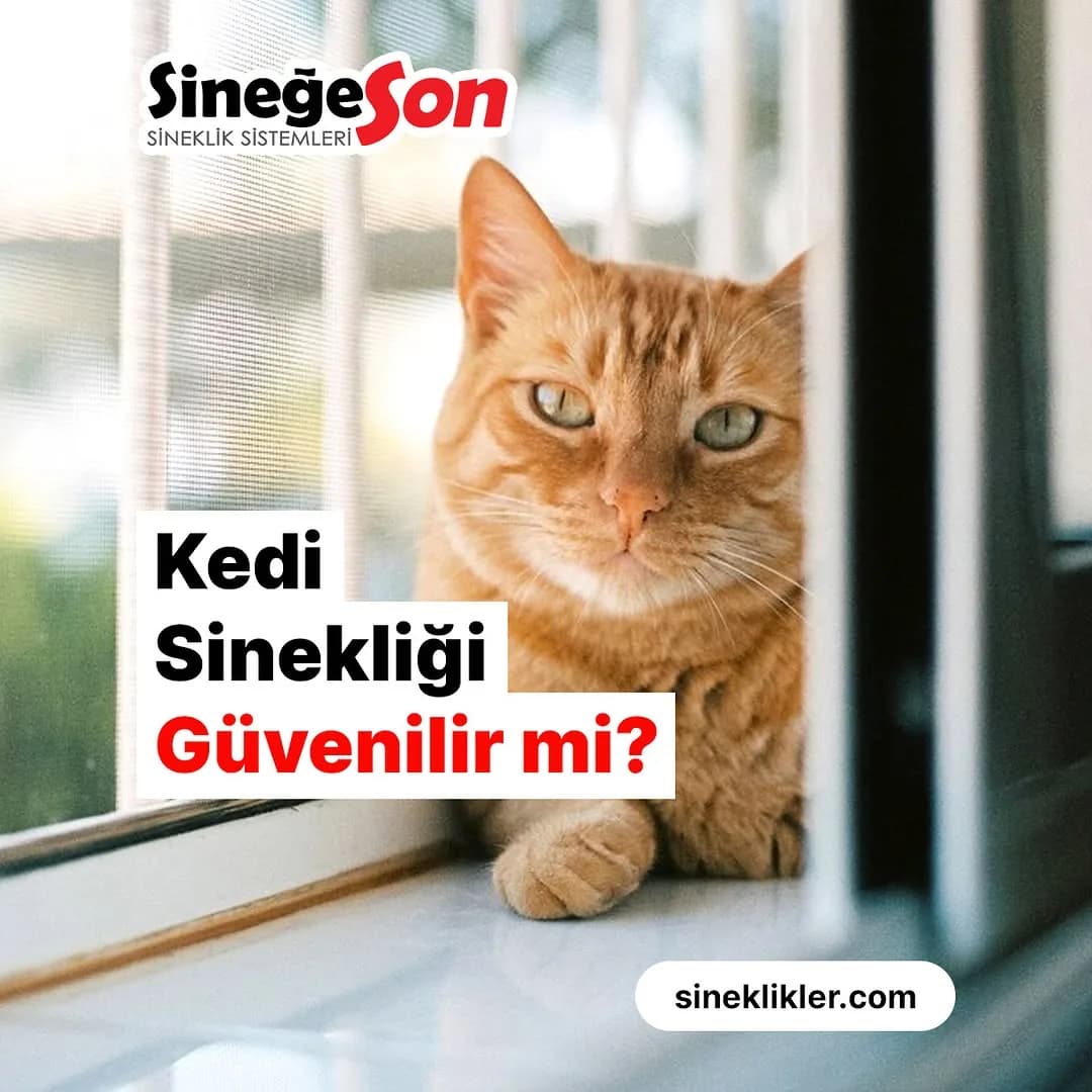 Sineklik · En İyi Sineklik Sistemleri work sample 2